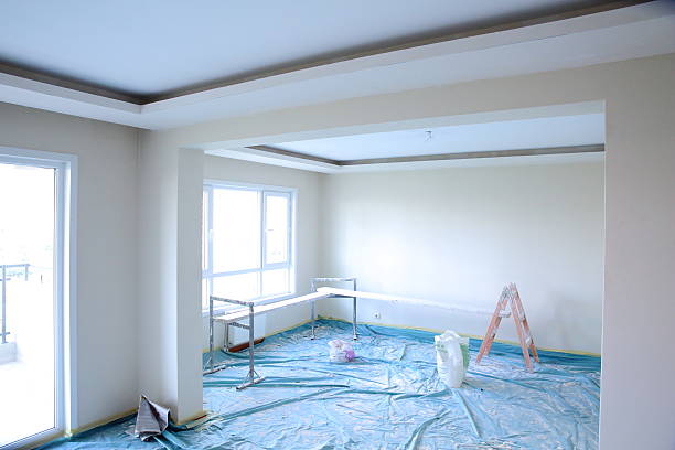 Best Drywall Removal and Disposal  in Columbus Grove, OH